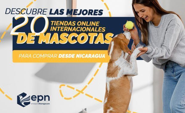 una joven de cabello largo y un sweter gris jugando con un perro a la pelota